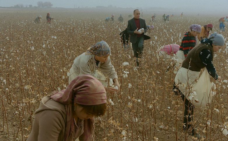 кадр из фильма «Продукты 24» / Metrafilms